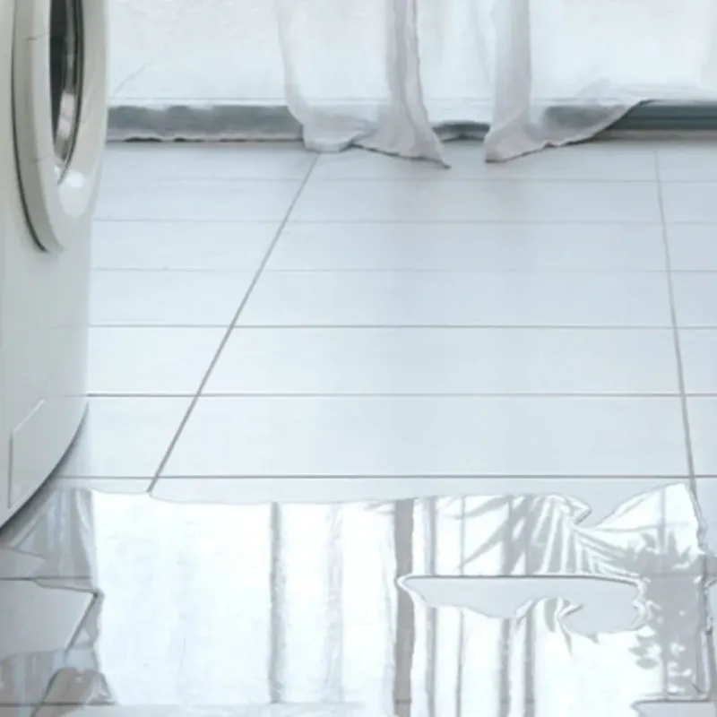 Appliance Leak Cleanup in Centerville, MO