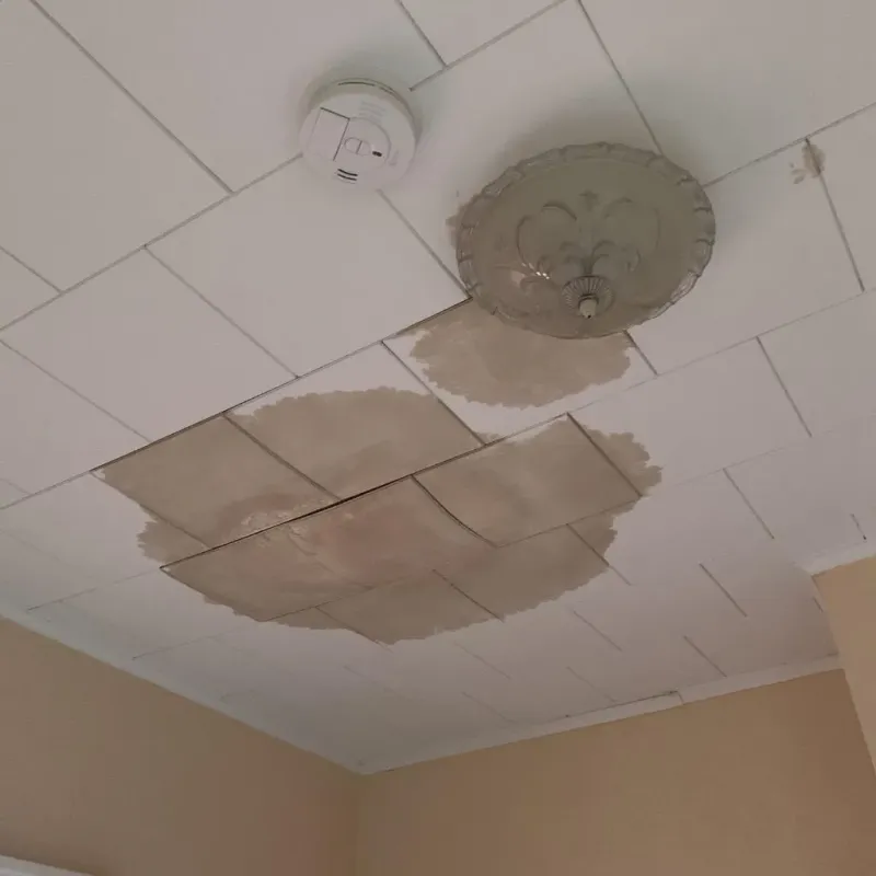Ceiling Water Damage Repair in Centerville, MO