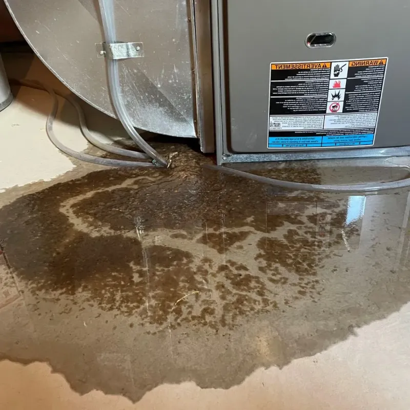 Pipe Burst and Leak Restoration in Centerville, MO